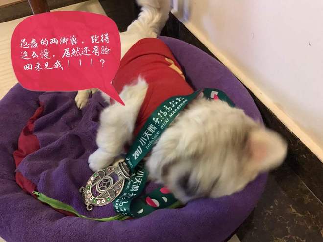 三月的春，就像青春期的少女