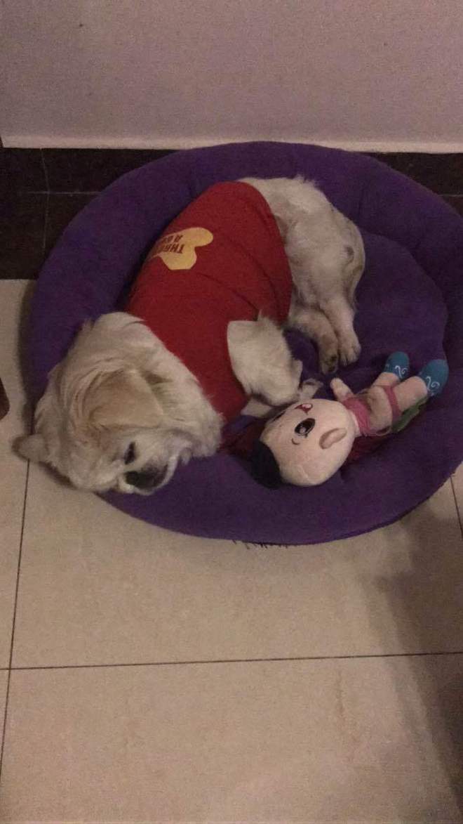 三月的春，就像青春期的少女