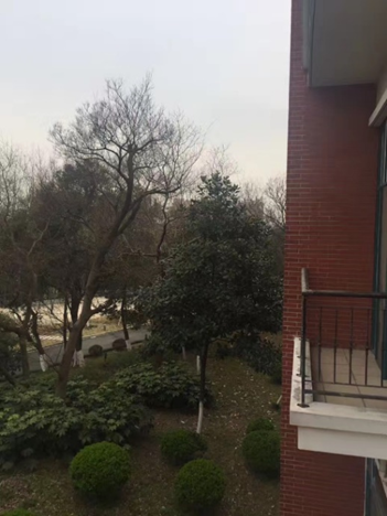 2017无锡马拉松后记