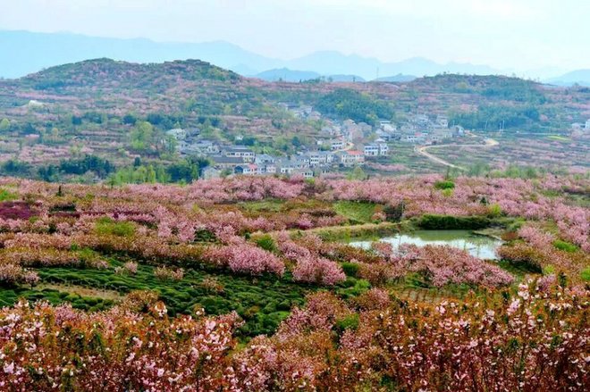 UTCT系列赛 | 四明山寻古韵，江南100遇真我