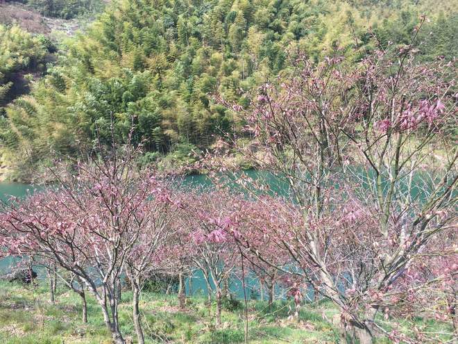 你自不动，我缓缓而来——记2017江南100越野赛