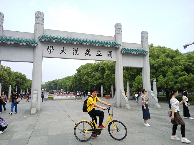 跑过一座城|武汉马拉松