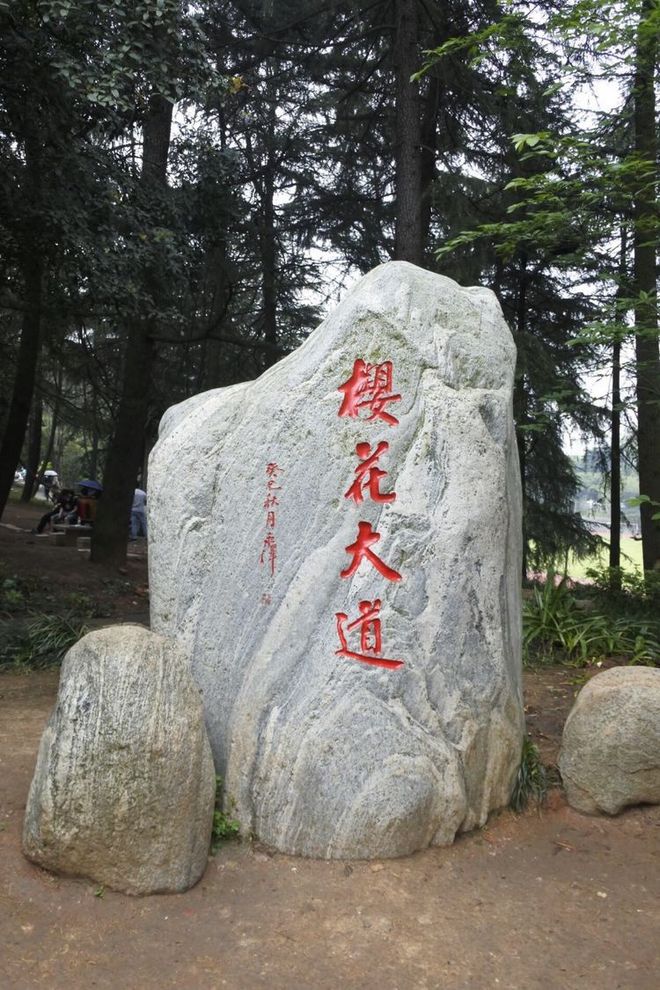 我心中最爱的武汉马拉松  —  周津