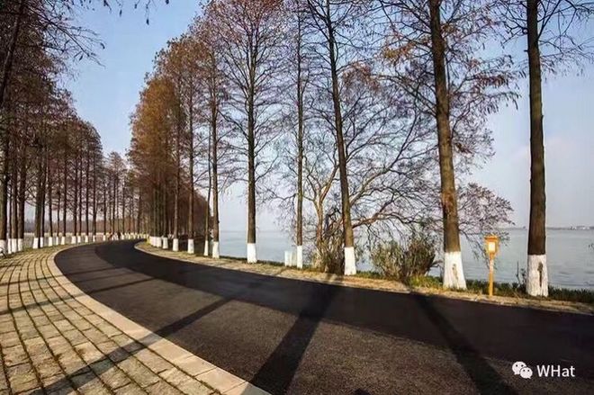 每个在外漂泊的人，都有一个渴望回去的故乡——纪念我的首次“汉马”