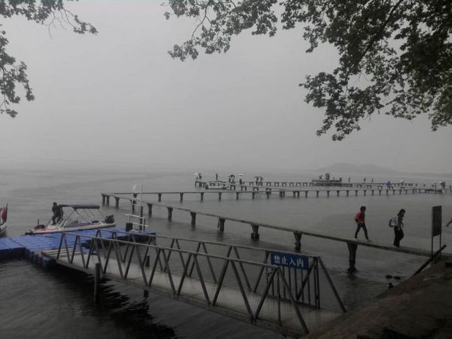 我心中最爱的武汉马拉松  —  周津