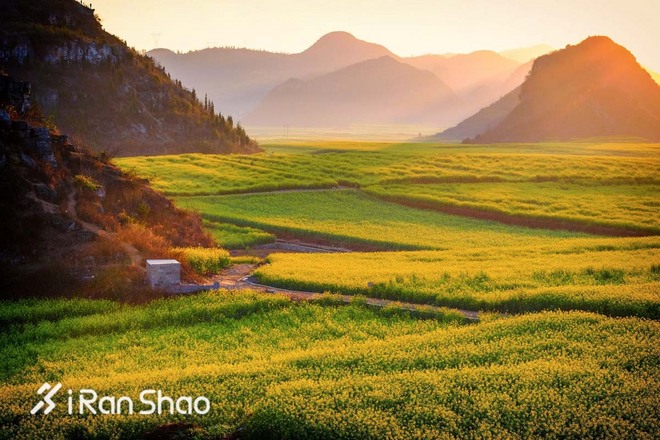 数据 | 2017年3月爱燃烧赛事平台数据分析