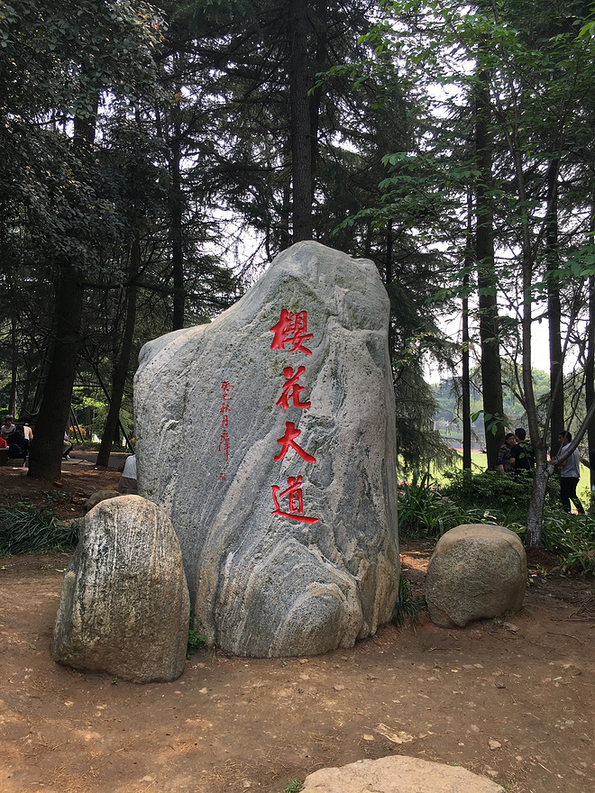 汉马，在雨中放飞心情