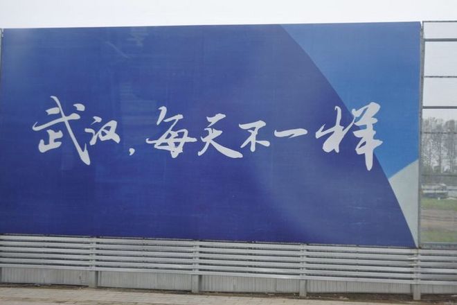 我心中最爱的武汉马拉松  —  周津