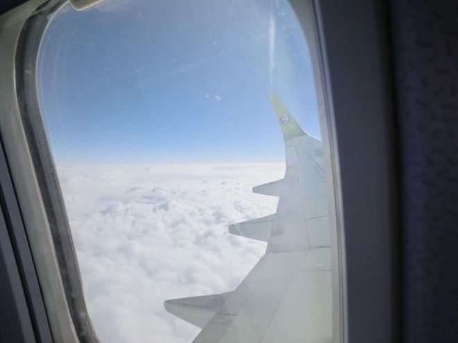 我心中最爱的武汉马拉松  —  周津