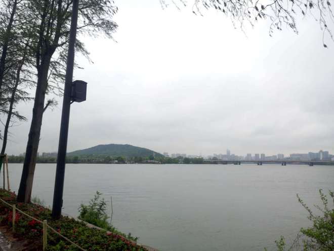 马拉松处女跑-2017年武汉马拉松