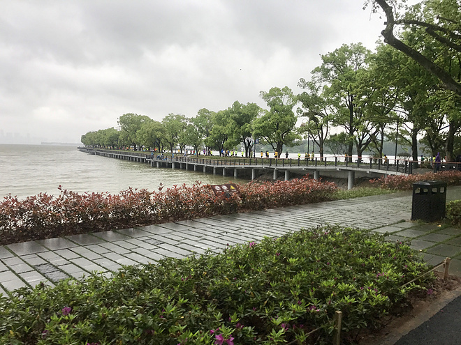 风雨武汉，泪洒江城