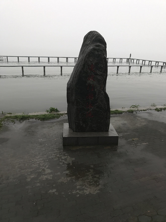 【因为一个人，爱上一座城】  记2017武汉马拉松