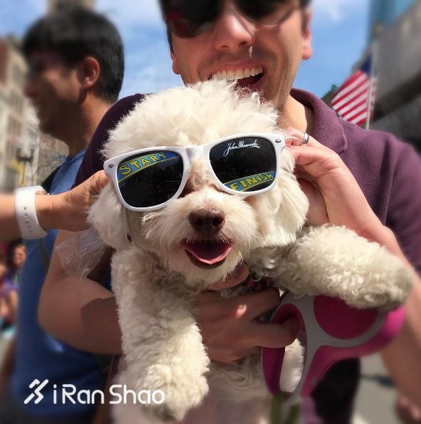 波士顿马拉松 | 神兽引领下的朝圣之旅