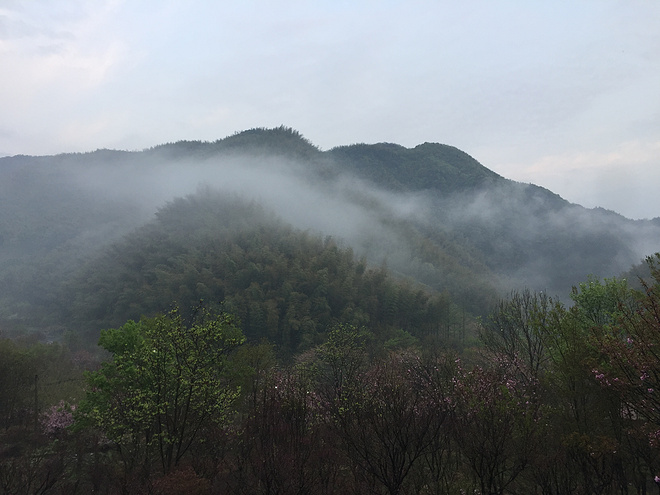 江南100赛记 | 因为山就在那里