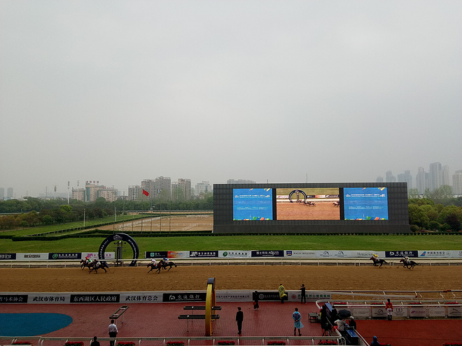 汉马，以人民的名义去追—记2017.4.9武汉马拉松