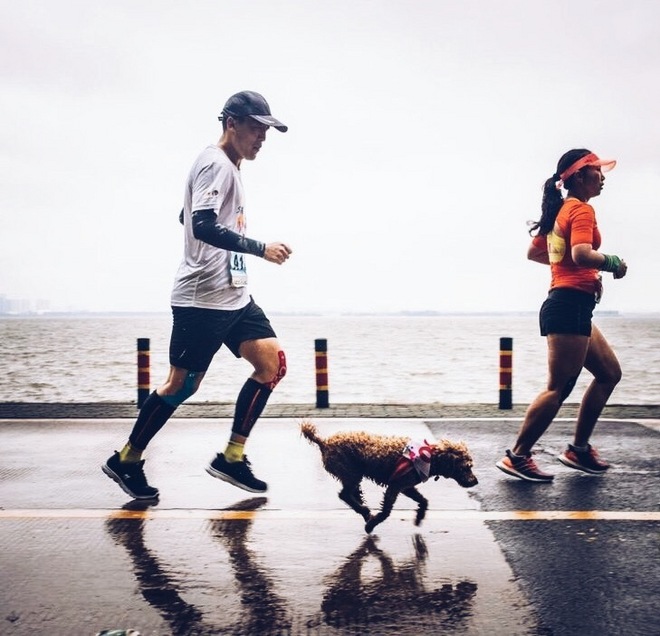 【我的“汉马”，我的城】