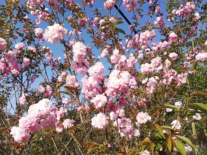 十里春风 不如江南有你——2017江南一百66k越野赛记