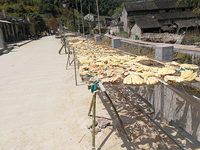 十里春风 不如江南有你——2017江南一百66k越野赛记