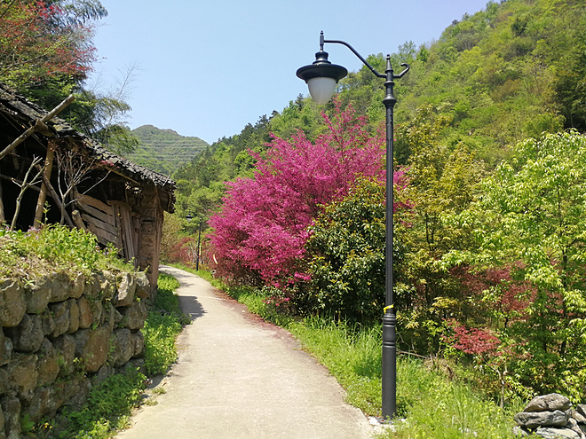 十里春风 不如江南有你——2017江南一百66k越野赛记