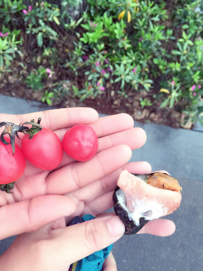 《生理期雨战汉马》—瞬姐姐的跑马之路汉马篇