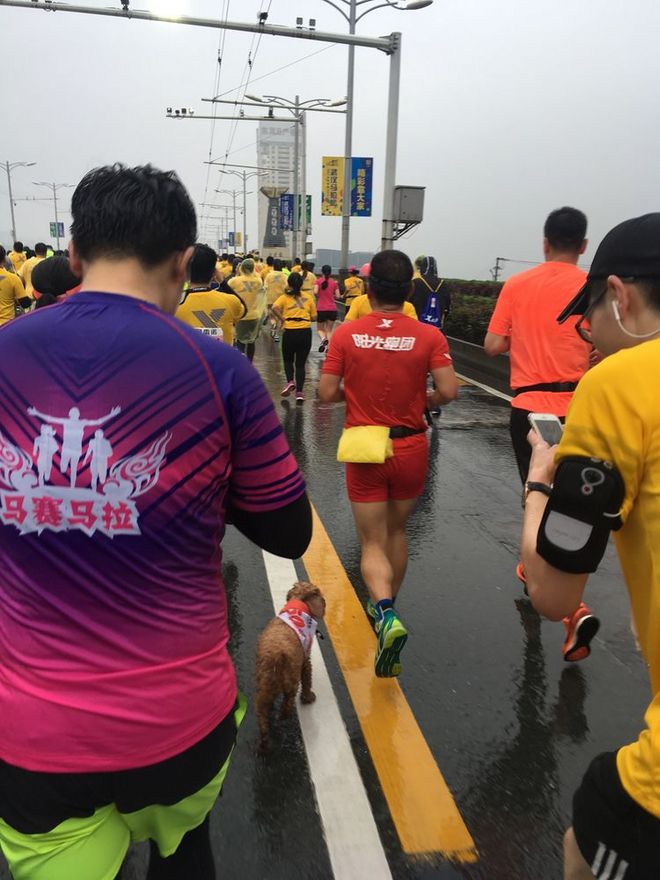 每个在外漂泊的人，都有一个渴望回去的故乡——纪念我的首次“汉马”