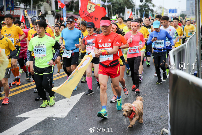 再跑汉马的狗子———记四毛的第22场马拉松