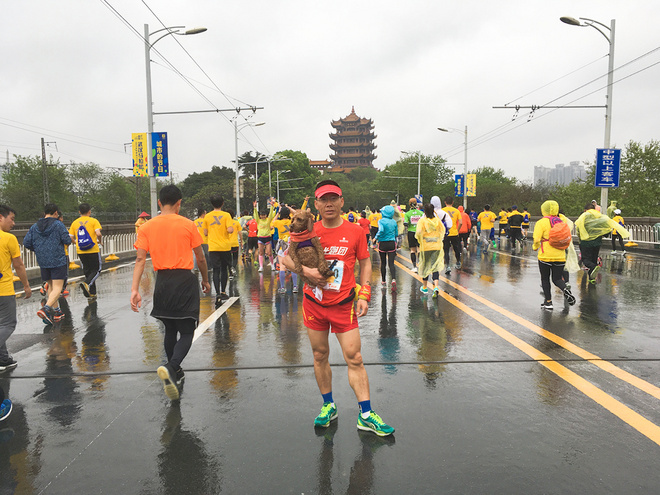 再跑汉马的狗子———记四毛的第22场马拉松