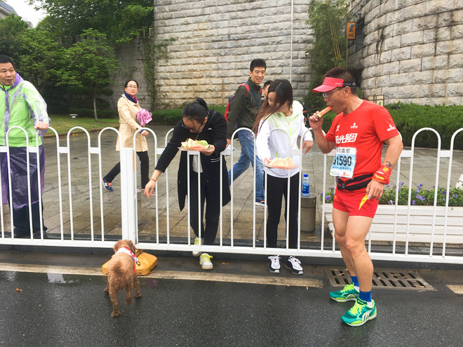 再跑汉马的狗子———记四毛的第22场马拉松