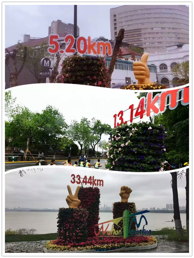 汉马，以人民的名义去追—记2017.4.9武汉马拉松