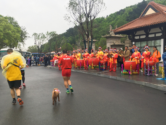 再跑汉马的狗子———记四毛的第22场马拉松