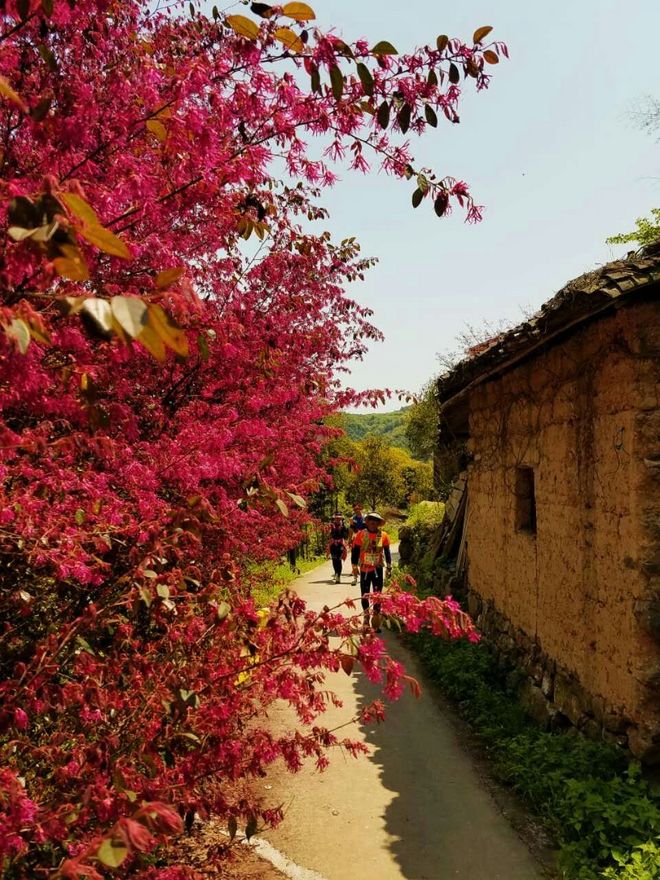 灵魂总是要贪片刻灿烂——我的42KM江南100处女跑