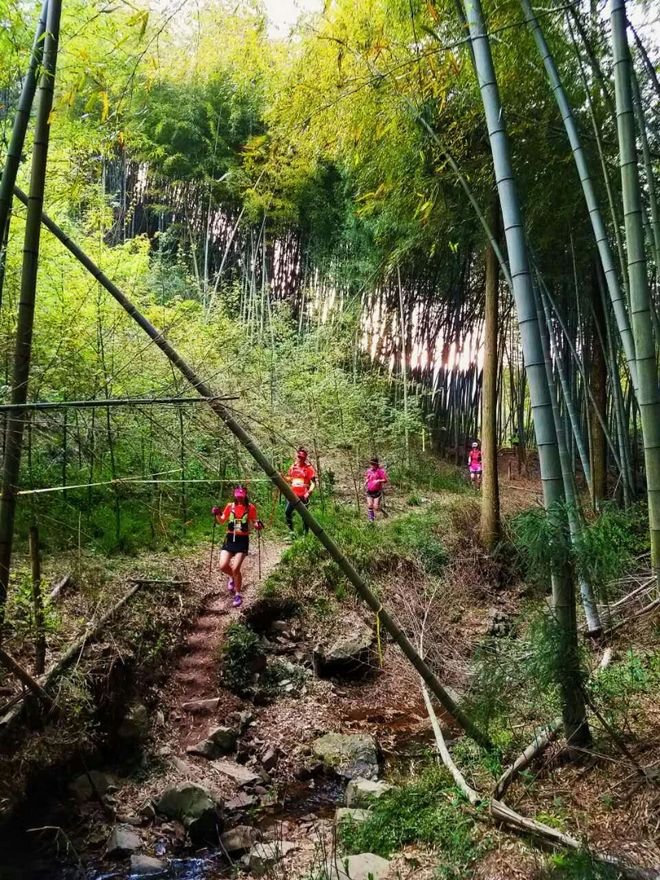 灵魂总是要贪片刻灿烂——我的42KM江南100处女跑