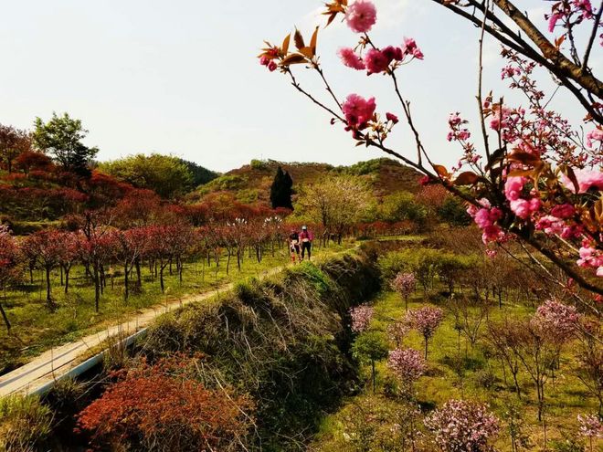 灵魂总是要贪片刻灿烂——我的42KM江南100处女跑