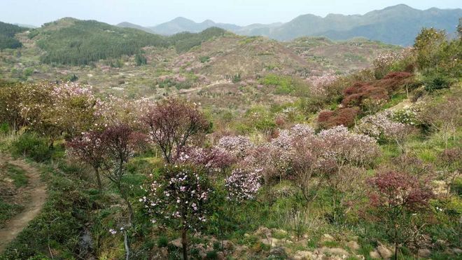 灵魂总是要贪片刻灿烂——我的42KM江南100处女跑