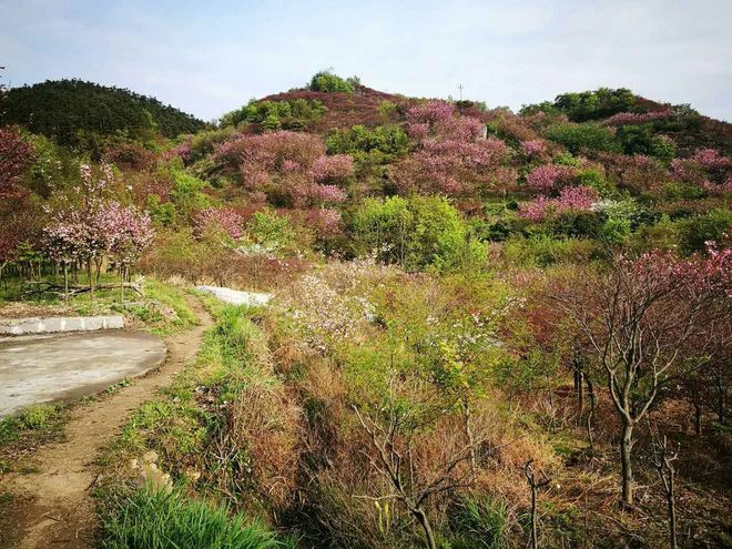 灵魂总是要贪片刻灿烂——我的42KM江南100处女跑