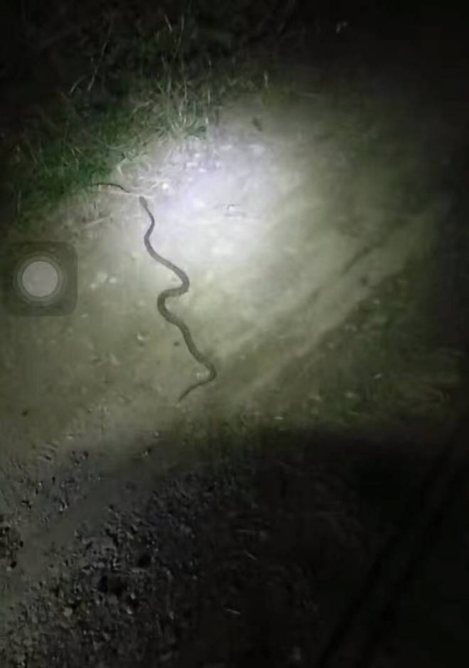 四明，登临世界阔——记2017年江南100越野赛