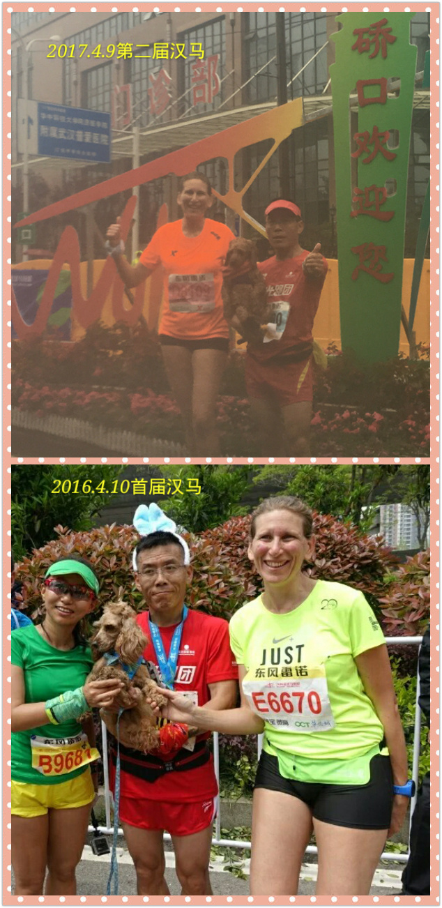 再跑汉马的狗子———记四毛的第22场马拉松