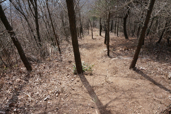 四明，登临世界阔——记2017年江南100越野赛