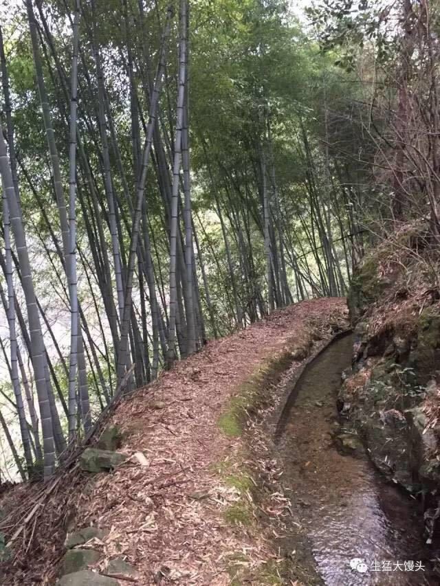 静过江南——大静江南首百赛记