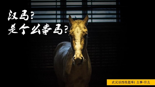 汉马是个么事马？