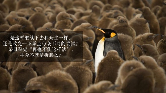 汉马是个么事马？