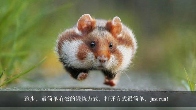 汉马是个么事马？