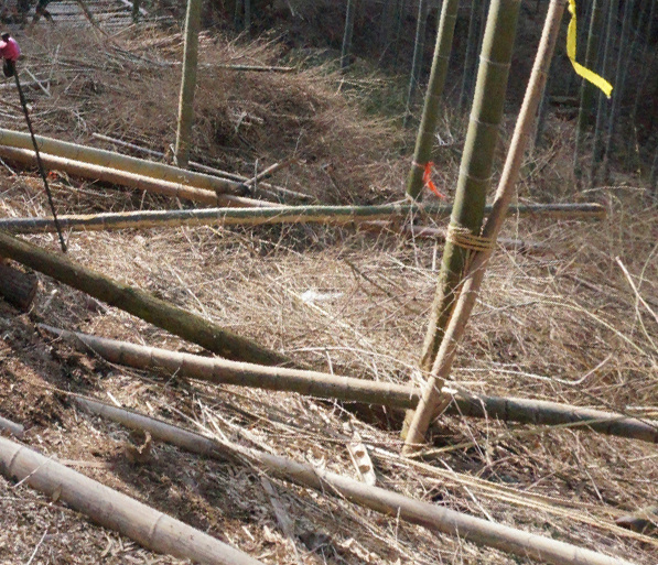 四明，登临世界阔——记2017年江南100越野赛