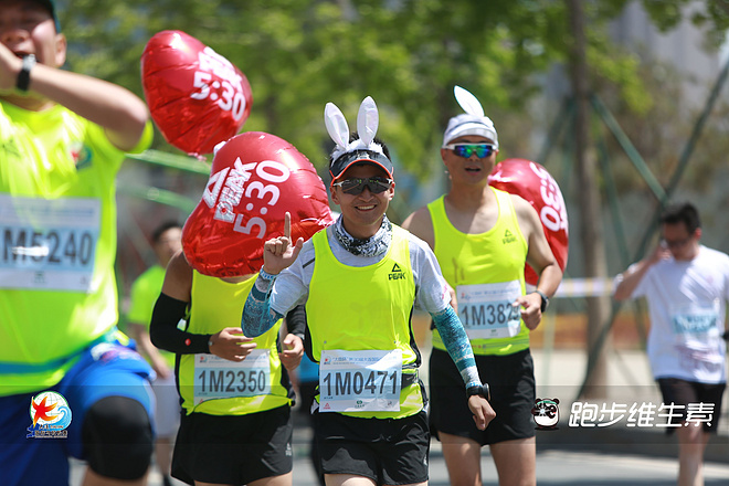 遇见浪漫滨城——记大马而立年的官兔之行（文末视频）