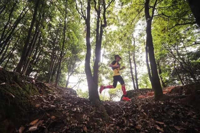 回顾 | 既然龙洞没有泥巴玩，那就专注地跑越野吧