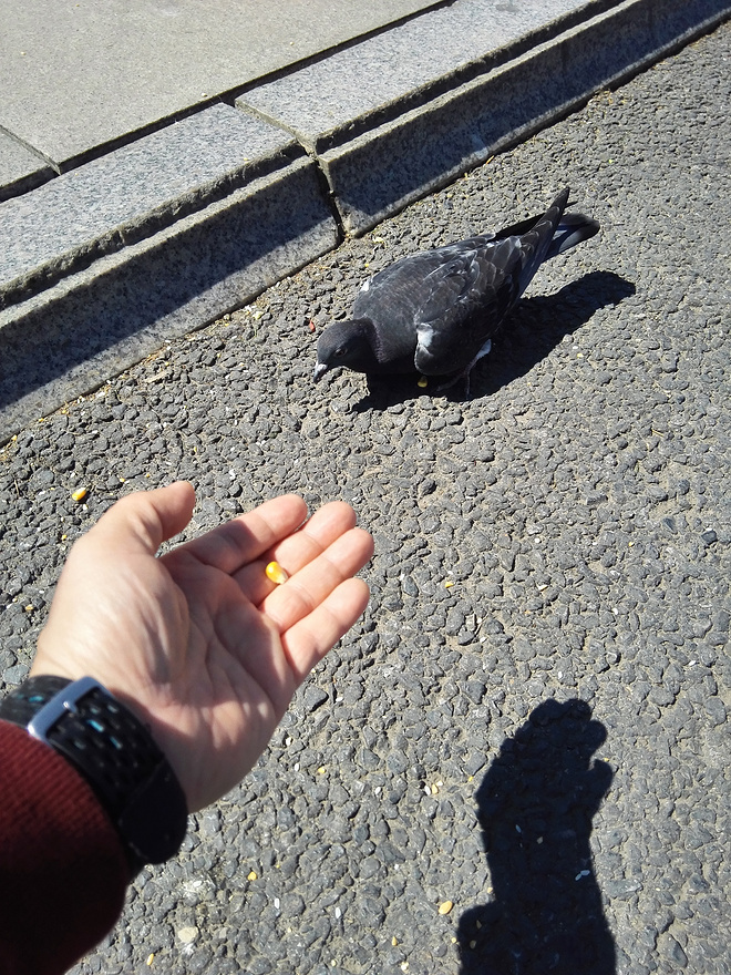 生活，还有那远方的马拉松