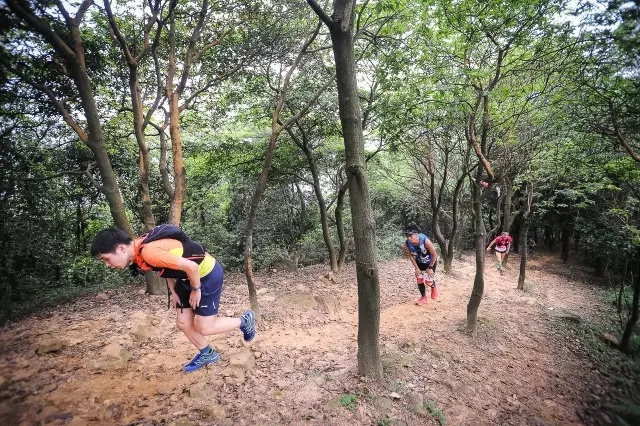 回顾 | 既然龙洞没有泥巴玩，那就专注地跑越野吧