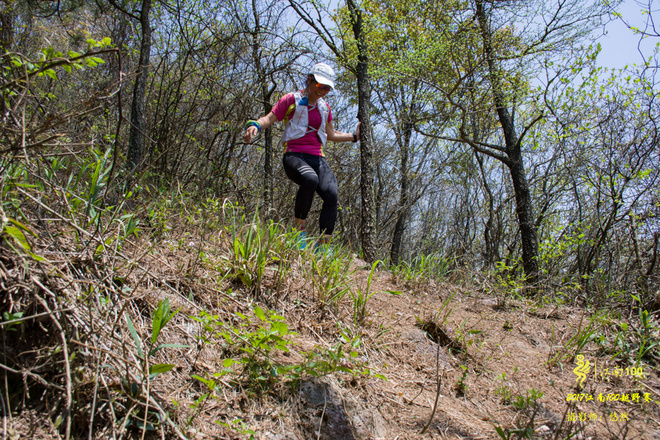 早知有盘山，依然下江南