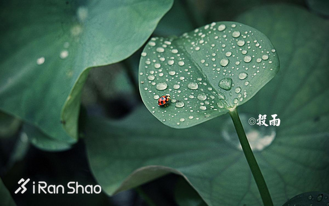 数据 | 2017年4月爱燃烧赛事平台数据分析