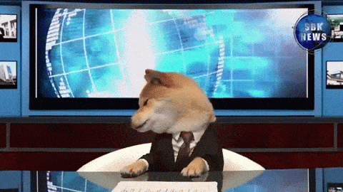 热点 | 大连&秦皇岛 滨海马拉松双城记